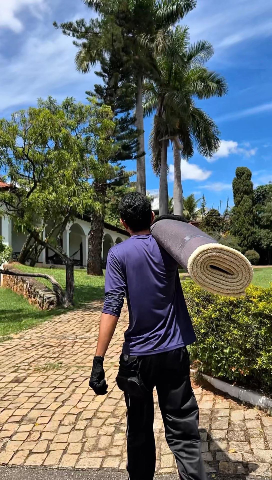 Coleta e transporte de tapete para higienização